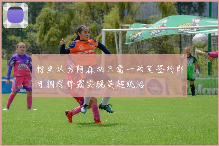 特里认为阿森纳只需一两笔签约即可拥有锋霸实现英超统治